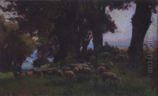 Troupeau De Moutons Oil Painting by Edouard Pail