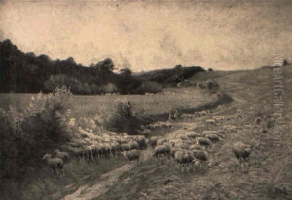 Sheep Grazing Along A Meadow Path Oil Painting by Edouard Pail