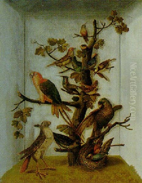 Study Of Parrots And Other Birds In An Aviary Oil Painting by Peter Paillou