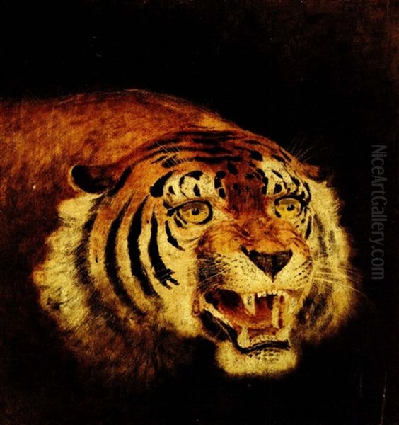 Testa Di Tigre Oil Painting by Filippo Palizzi