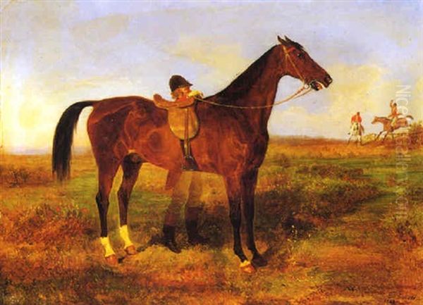 Cavallo E Cavaliere Con Giubba Rossa Oil Painting by Filippo Palizzi