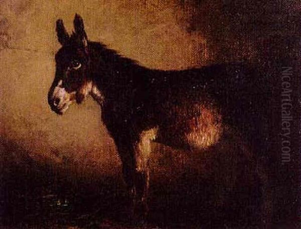 Burro Oil Painting by Filippo Palizzi