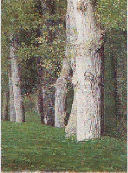 Luci Nel Bosco Oil Painting by Filippo Palizzi