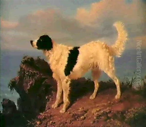 A Dog On A Cliff Oil Painting by Filippo Palizzi