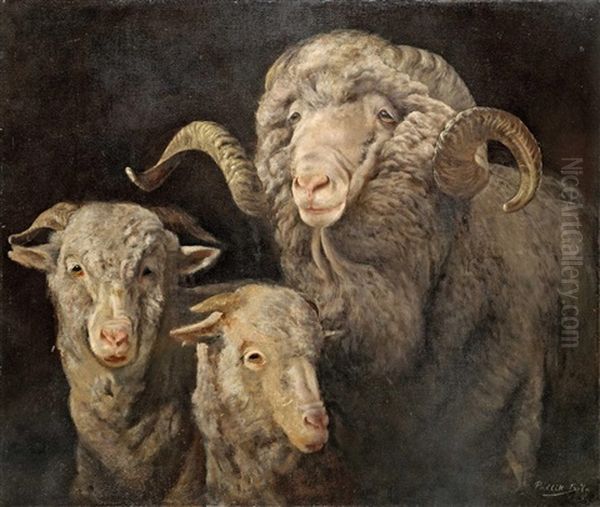 Family Of Sheep Oil Painting by Bela Pallik