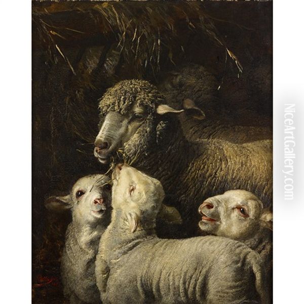 Sheep And Lambs by Bela Pallik