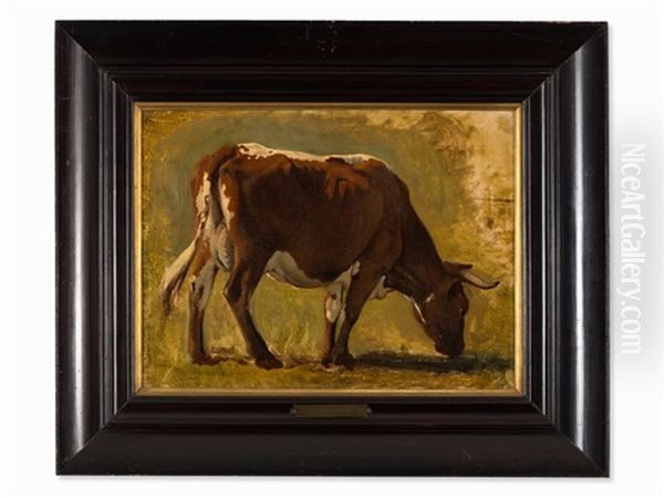 Domestic Cattle by Bela Pallik