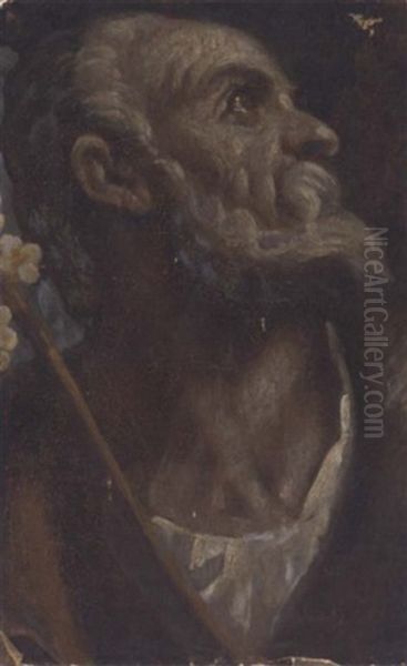 The Head Of Saint Joseph Oil Painting by Jacopo Palma il Giovane