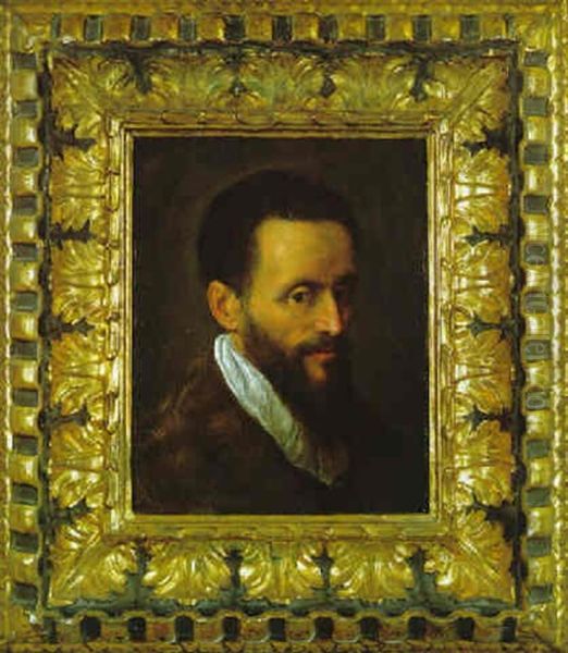 Testa Di Uomo Barbuto Oil Painting by Jacopo Palma il Giovane