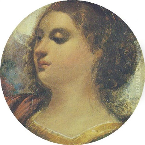 Ritratto Femminile Oil Painting by Jacopo Palma il Vecchio