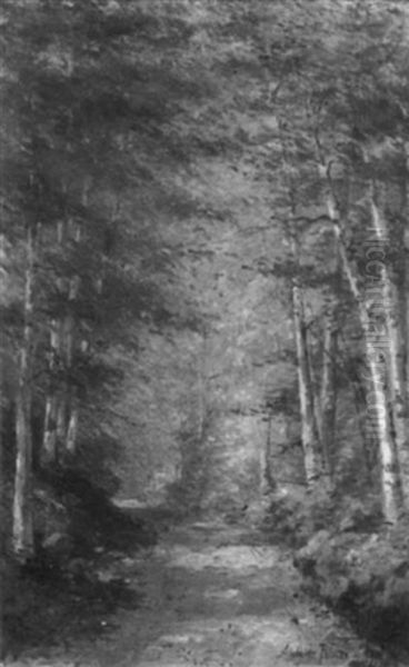 Birch Lined Path To The Woods Oil Painting by Adelaide Palmer