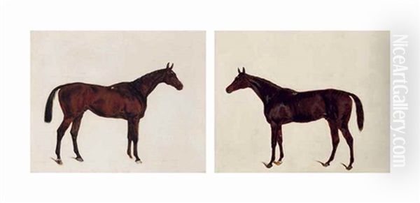 Horse Studies Oil Painting by James Lynwood Palmer