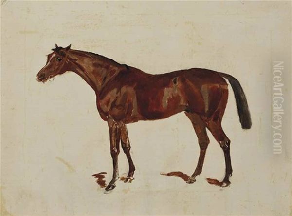 Sketch Of Minoru, A Bay Horse; And Three Sketches Of A Dark Bay Horse; A Bay Horse; A Chestnut Horse Oil Painting by James Lynwood Palmer