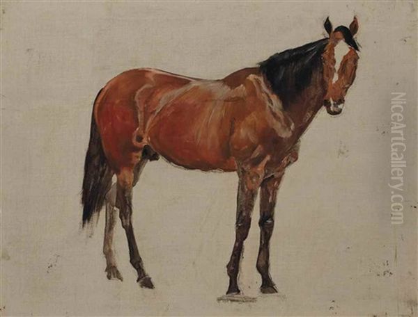 Sketch Of A Dark Bay Horse; And Sketches Of A Bay Horse; A Chestnut Horse; And A Dark Brown Horse Oil Painting by James Lynwood Palmer