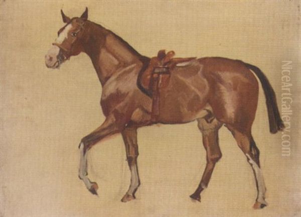 Sketch Of A Horse Oil Painting by James Lynwood Palmer