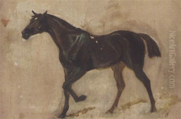 Sketch Of A Horse Oil Painting by James Lynwood Palmer