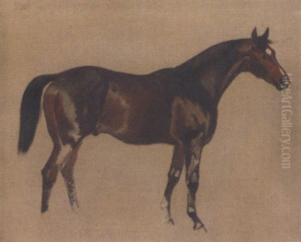 Sketch Of A Horse Oil Painting by James Lynwood Palmer