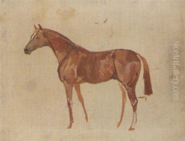 Sketch Of A Horse Oil Painting by James Lynwood Palmer