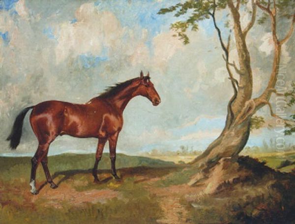 A Bay Hunter Before A Tree In An Extensive Landscape Oil Painting by James Lynwood Palmer