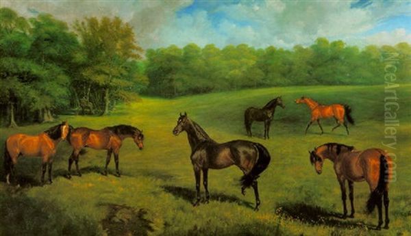 The 6th Duke Of Portland's Stallions At Welbeck Stud by James Lynwood Palmer