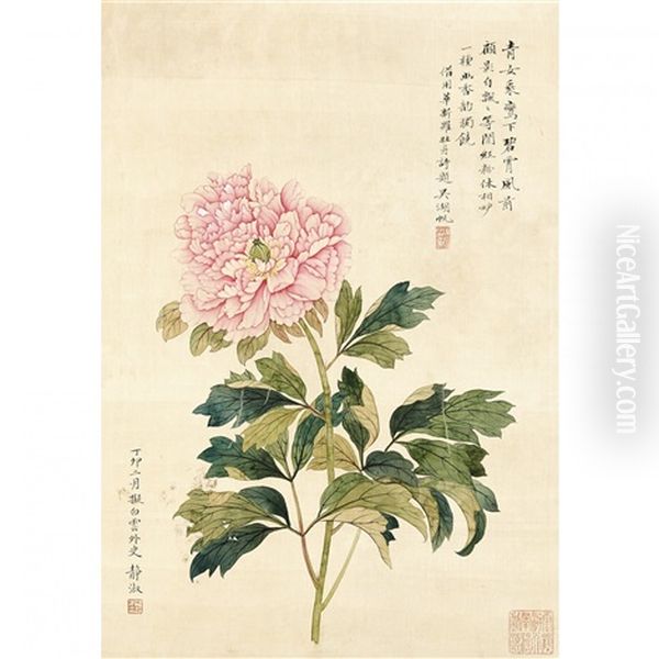 A Chinese Painting Of Peony Oil Painting by  Pan Jingshu