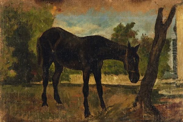 Cavallo Legato All'albero Oil Painting by Ruggero Panerai