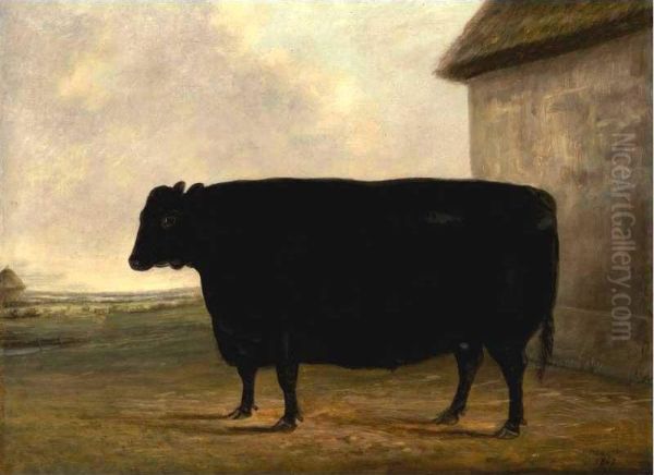 Mr. Mccombie's Prize Aberdeenshire Ox Oil Painting by James Blazedy