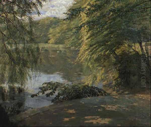 Weiher Mit Schwanen Oil Painting by Robert Panitzsch