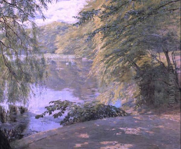 Weiher Mit Schwanen Oil Painting by Robert Panitzsch