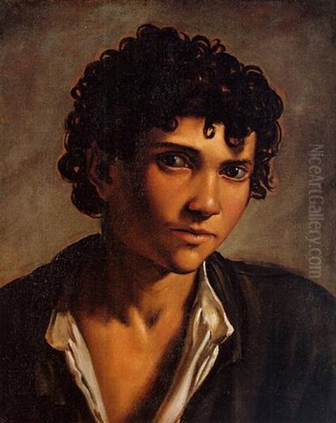 Portrait Of A Boy Oil Painting by Pietro Paolini