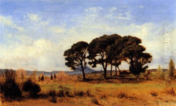 Les Pins A St. Raphael Oil Painting by Victor de Papelen (Papeleu)