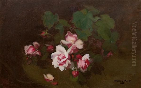 Pink Roses Oil Painting by Stuart James Park