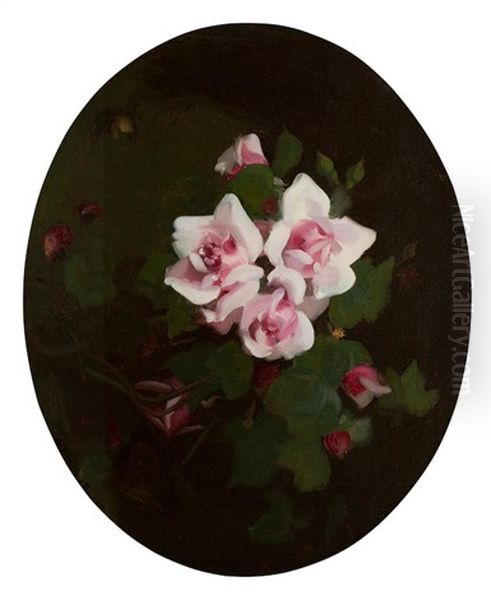 Pink Roses Oil Painting by Stuart James Park