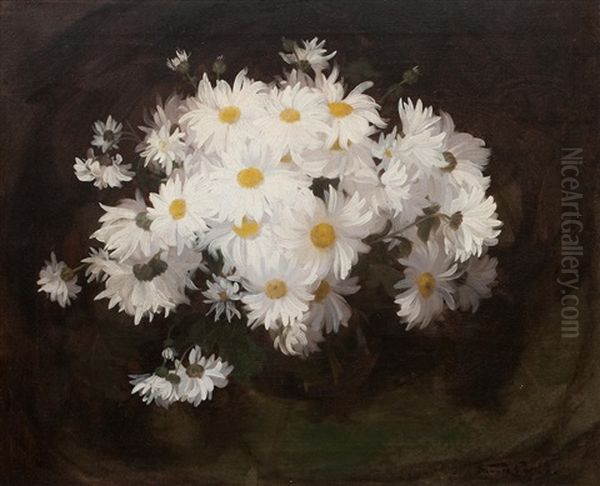 Marguerites Oil Painting by Stuart James Park