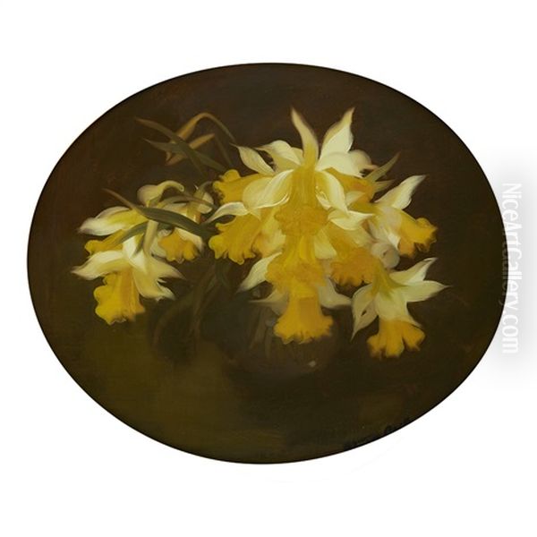 A Still Life Of Daffodils Oil Painting by Stuart James Park