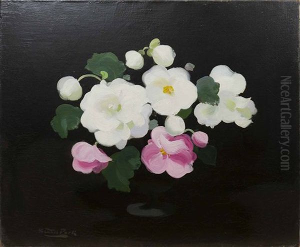 Pink And White Roses Oil Painting by Stuart James Park