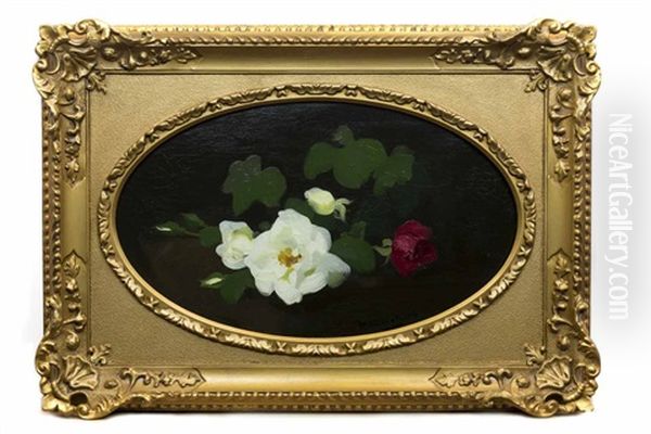 White And Red Roses 36.5cm Oil Painting by Stuart James Park