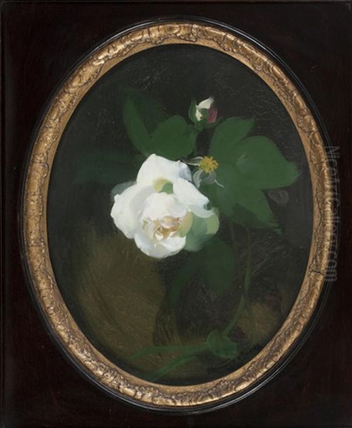 White Rose Oil Painting by Stuart James Park