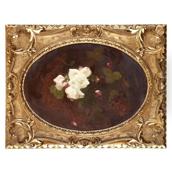 A Still Life Of Pink And White Roses Oil Painting by Stuart James Park