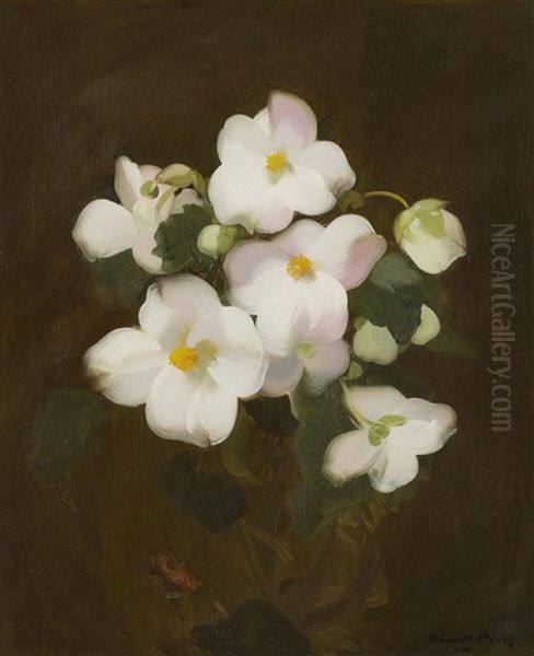 Christmas Roses Oil Painting by Stuart James Park