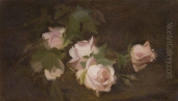 A Still Life Of Pink Roses by Stuart James Park