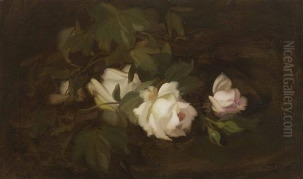 A Still Life Of White And Pink Roses Oil Painting by Stuart James Park