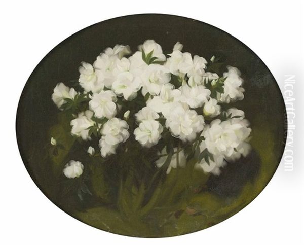 A Still Life Of Philadelphus Oil Painting by Stuart James Park