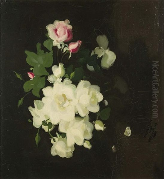 Roses Oil Painting by Stuart James Park