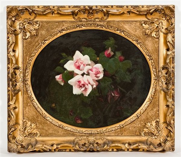 Pink Roses Oil Painting by Stuart James Park