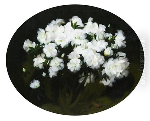 White Azaleas Oil Painting by Stuart James Park