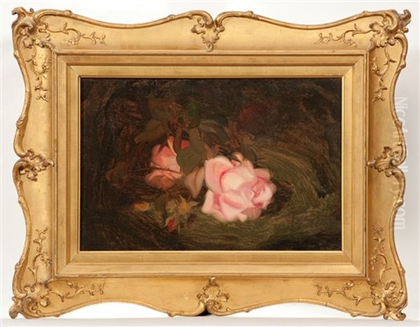 Pink Roses Oil Painting by Stuart James Park