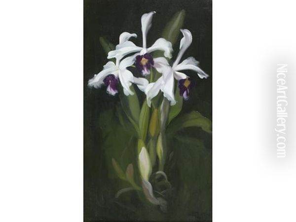 Lilies Oil Painting by Stuart James Park