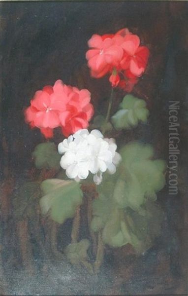 Geraniums Oil Painting by Stuart James Park