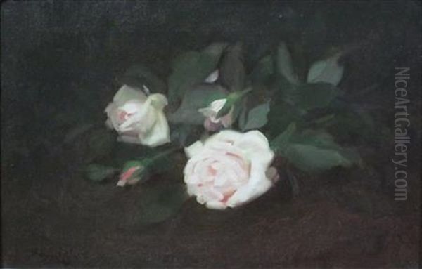 Pale Pink Roses Oil Painting by Stuart James Park